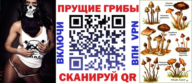 Псилоцибиновые грибы мицелий  купить   Судак 