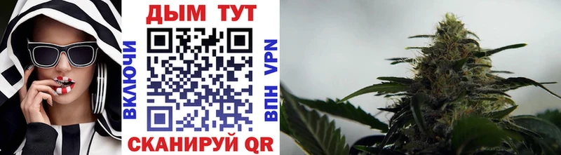 Бошки Шишки индика Судак